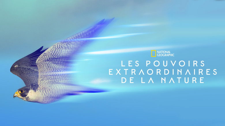 Gallery image from 3Z8qffxxRhFq7gPfQZPwjZynwVZ.jpg