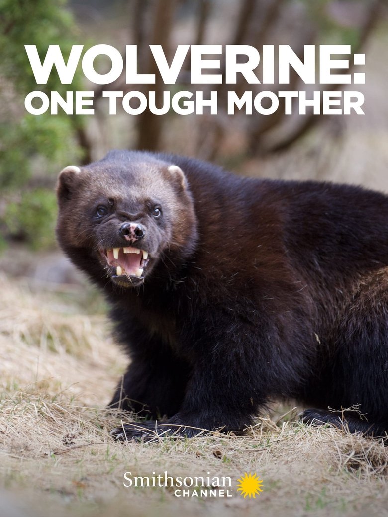 Wolverine: One Tough Mother (2021)