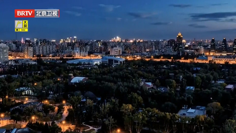 神奇动物园: 1×2