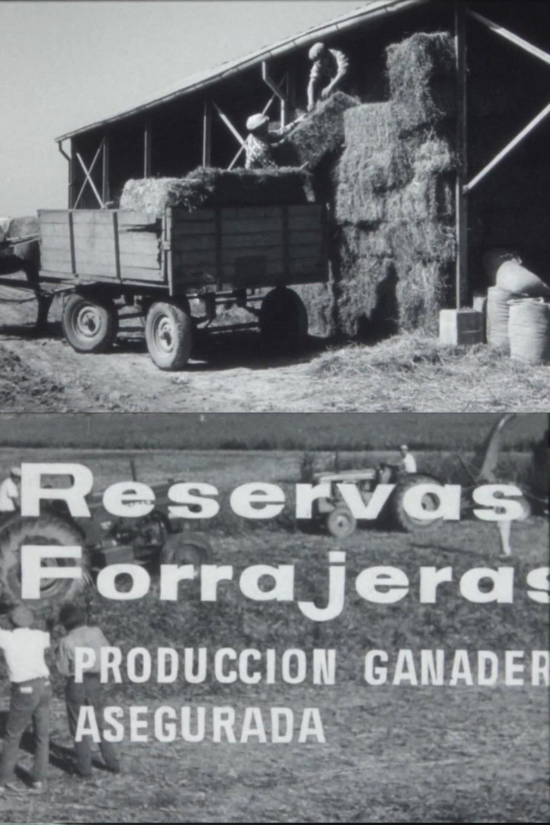 Imatge de Reservas forrajeras, producción ganadera asegurada