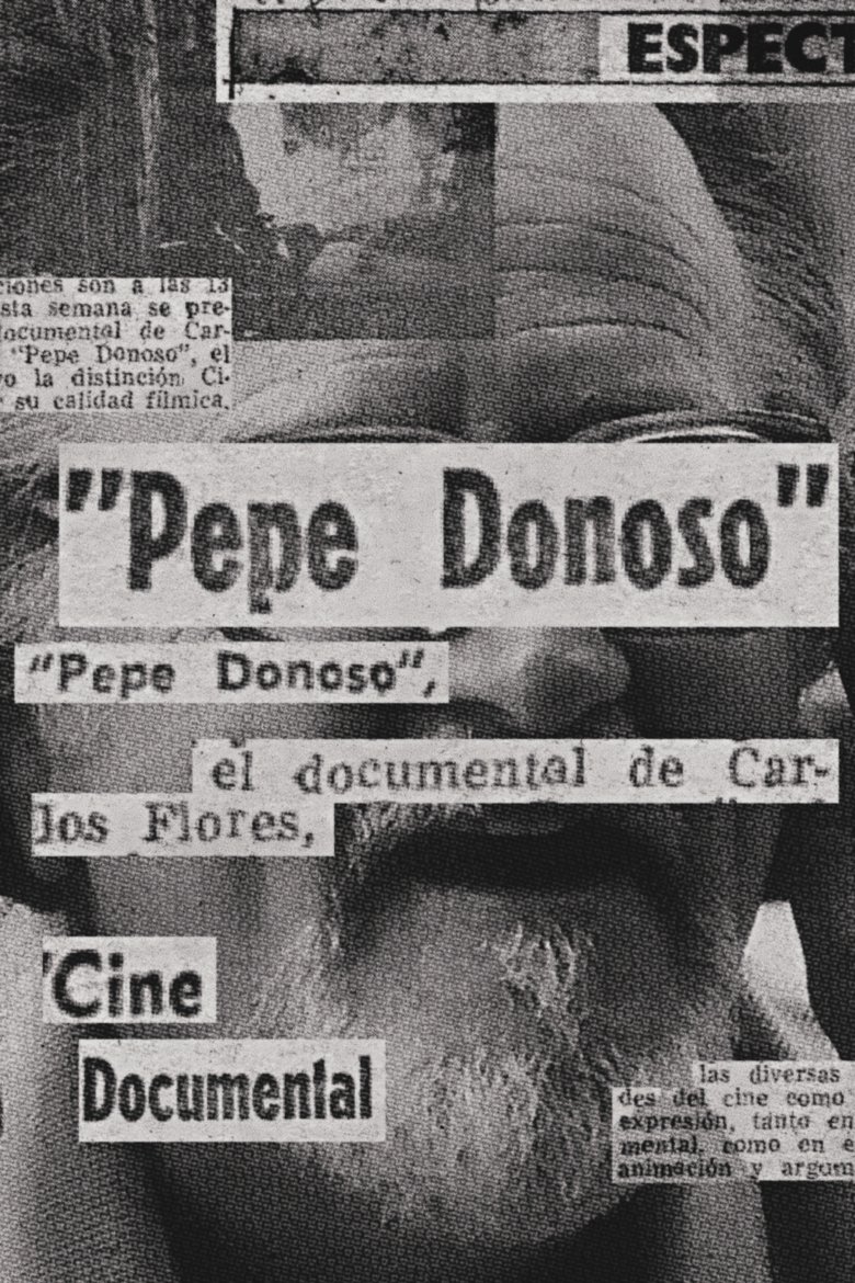 Pepe Donoso main poster