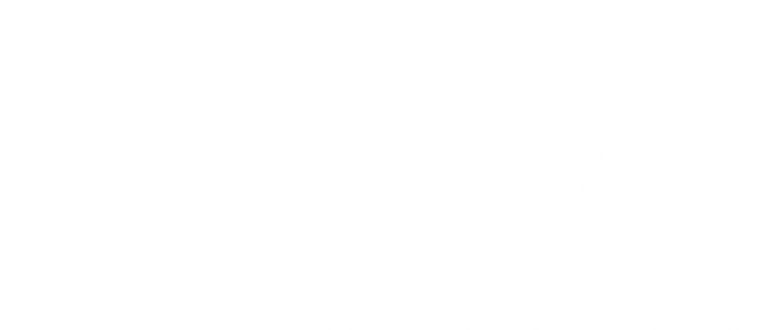 Imagen de El Llanero Solitario