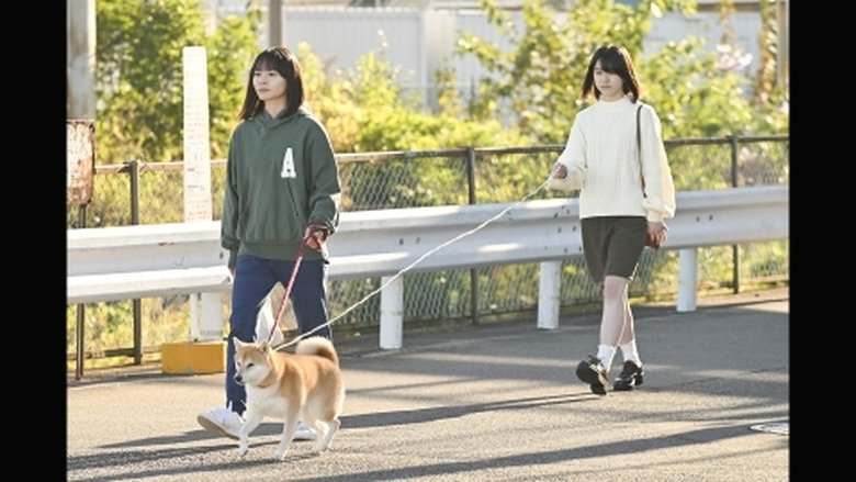 Still image for Today's Walk season 1 episode 7: Episode 7