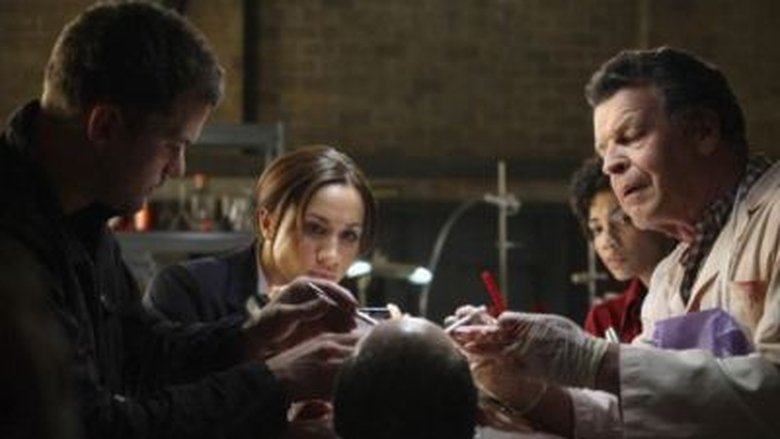 fringe season 1 123 movies free online fringe season 1 123 movies free online