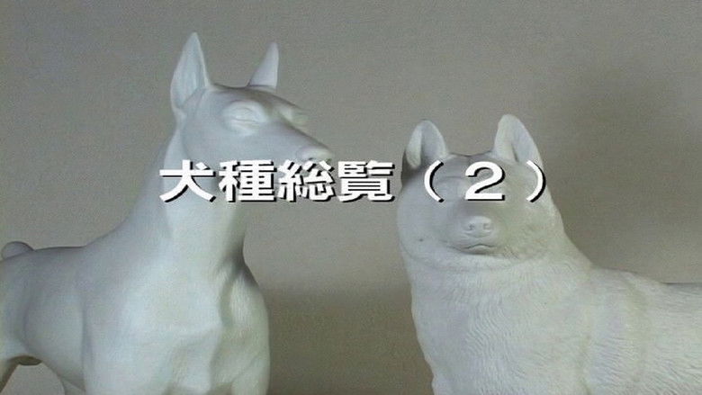 JPBAペット技法DVD シリーズ日本畜犬学会犬種総覧(2)