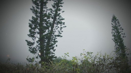 Still image for Secret Door season 1 episode 4: Episode 4 Still image for Secret Door season 1 episode 4: Episode 4