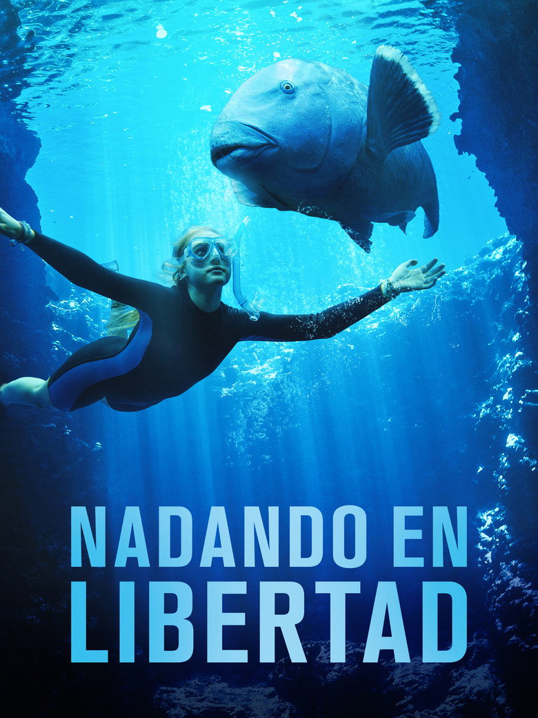 Film poster