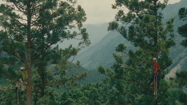 Image d'arrière-plan 11 du film Wood Job!