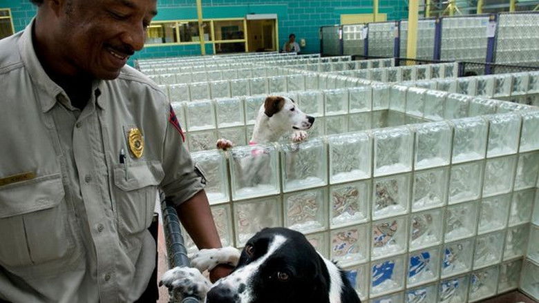 Still image for Animal Cops: Philadelphia season 1 episode 10: Rescued Just in Time