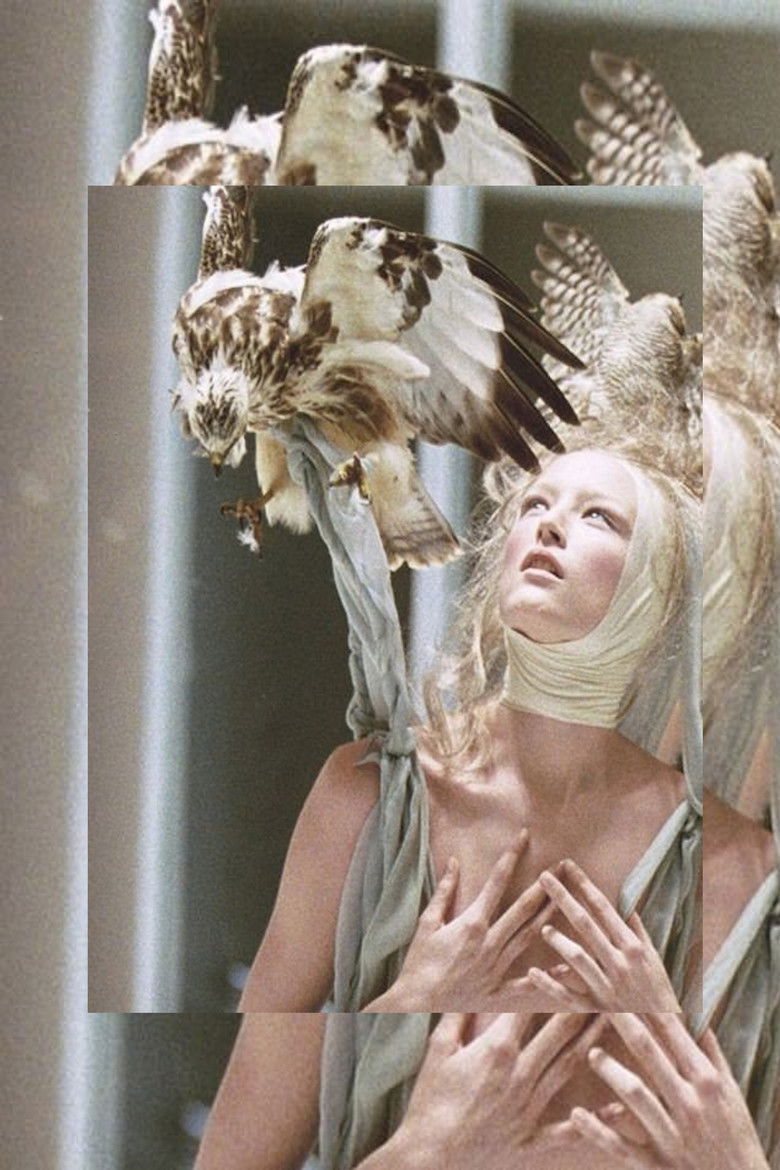 Imatge de McQueen and I