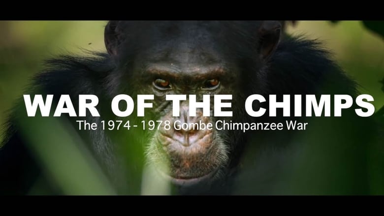 World War Chimp | The Brutal 1974 - 1978 Gombe Chimpanzee War: Documentary movie poster