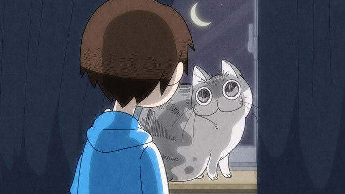 Still image for Nights with a Cat season 1 episode 22: Night 22: Scared by a Cat