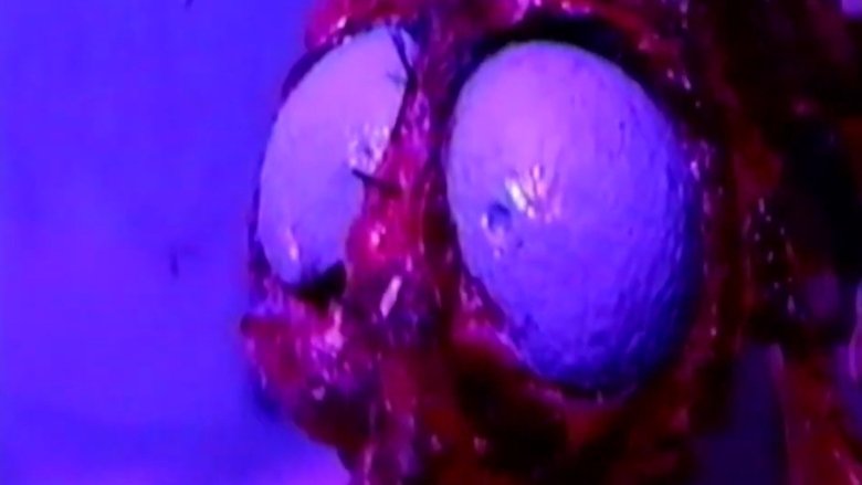 Gallery image from 3epejWhE9CBDmQy6bIYMiiq0Anc.jpg