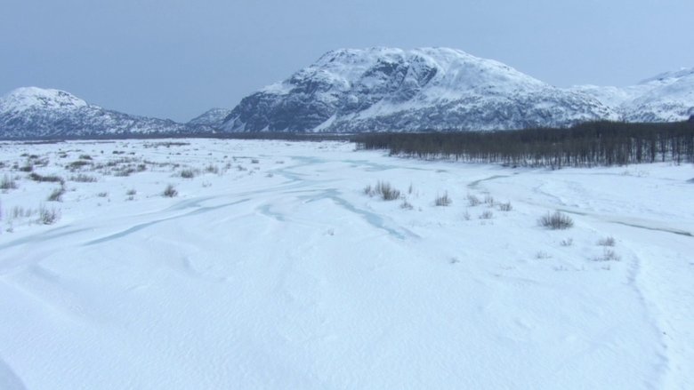 Snow Babies main backdrop