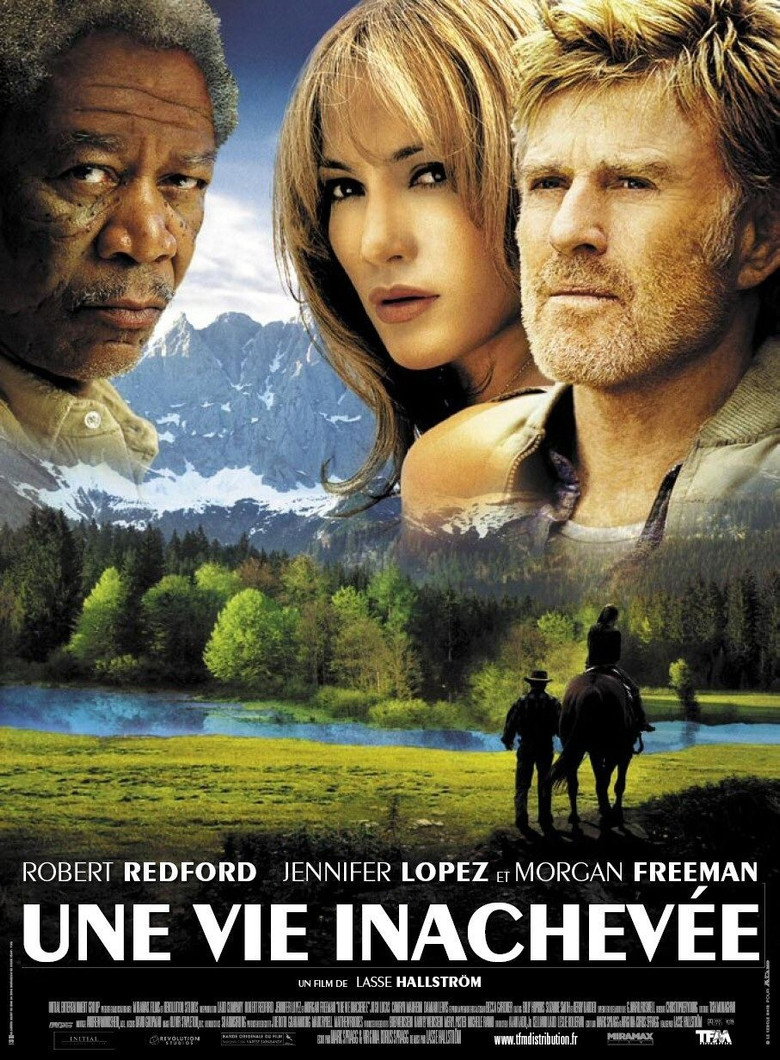 Póster la Película