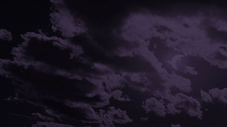 Gallery image from 3gKLKPzYmUx119AC9AmkT8PNEv3.jpg