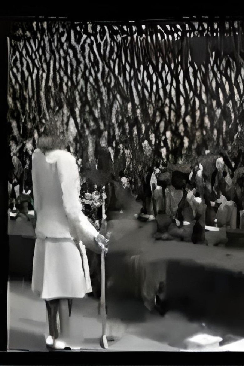 Imatge de Memórias Compostas