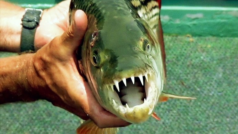 River Monsters Stream River Monsters Stream