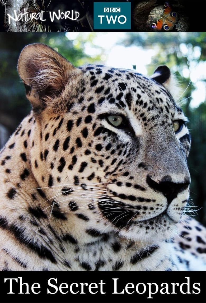 The Secret Leopards main poster
