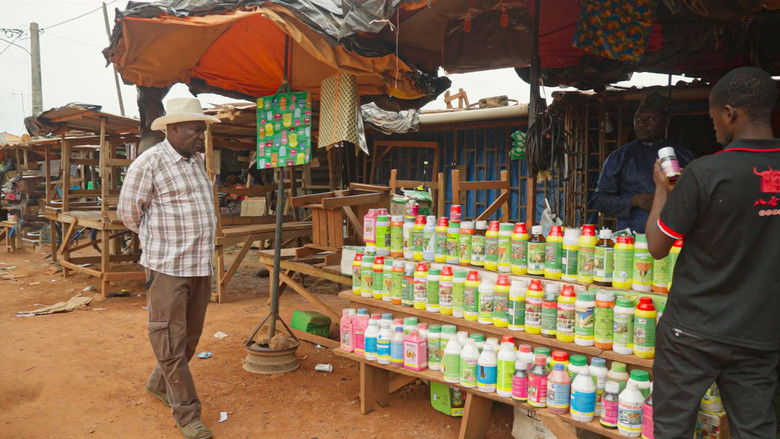 Imatge de Côte d’Ivoire : toxique Afrique