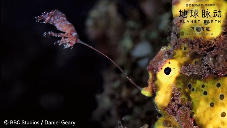 Image d'arrière-plan 3 du film Planet Earth: Forces of Nature