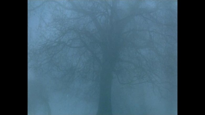 Gallery image from 3itf56xBPp6BOcCQksvIZMnrZbo.jpg