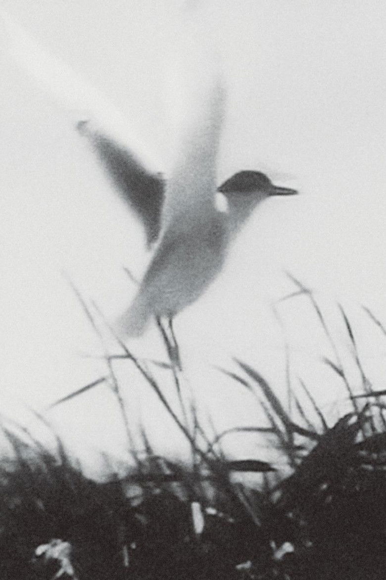 Imatge de Обитатели