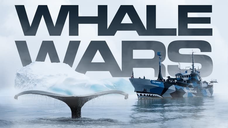 Whale+Wars