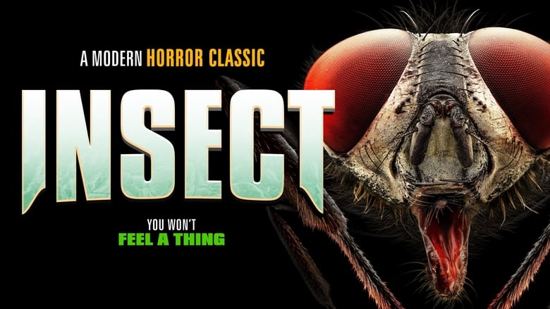 Insect