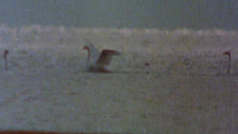 Gallery image from 3jlTPNqnuD74BFIdpANSjnPhdVa.jpg