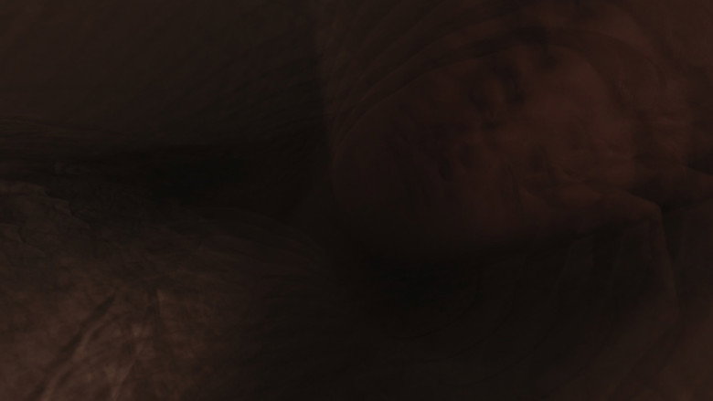 Imatge de The Somnambulist