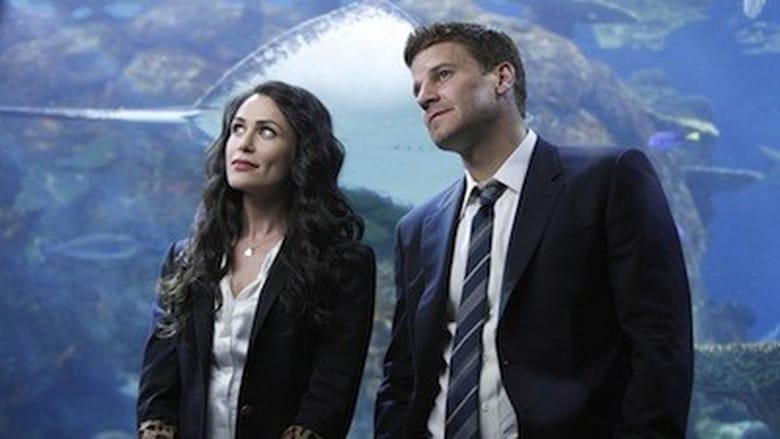 Bones: 5×18