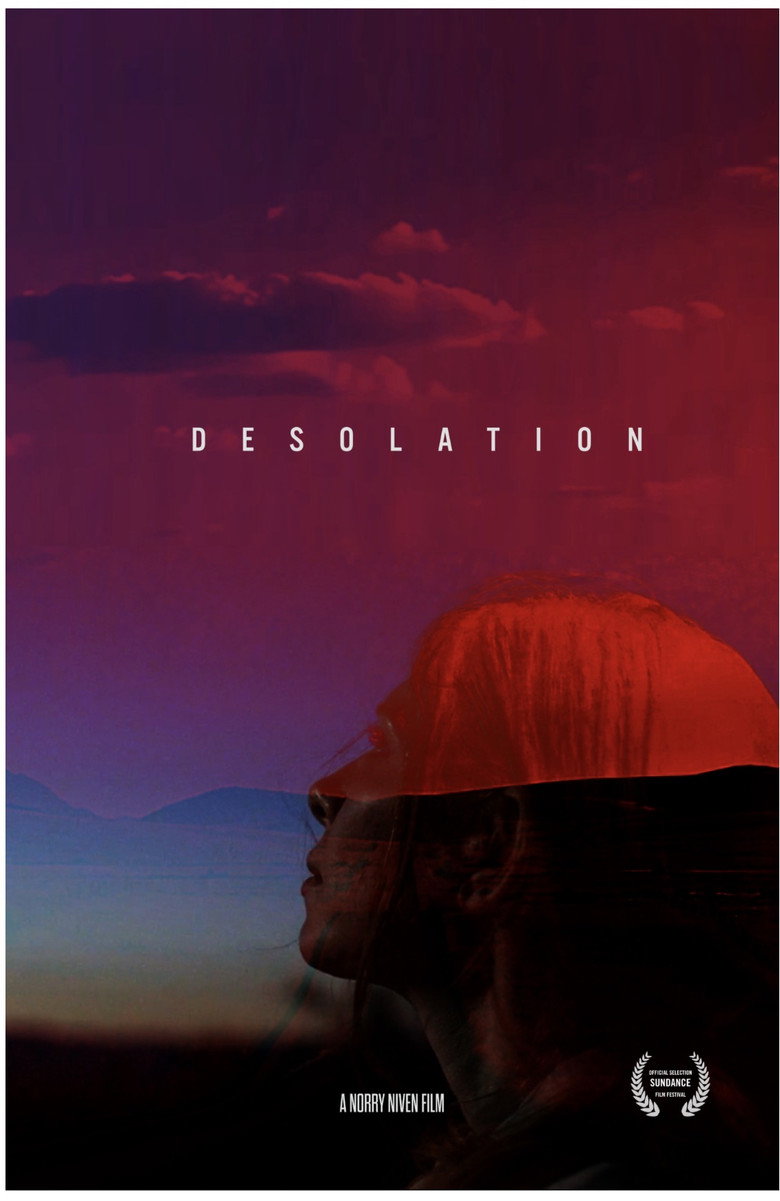 Affiche de DESOLATION