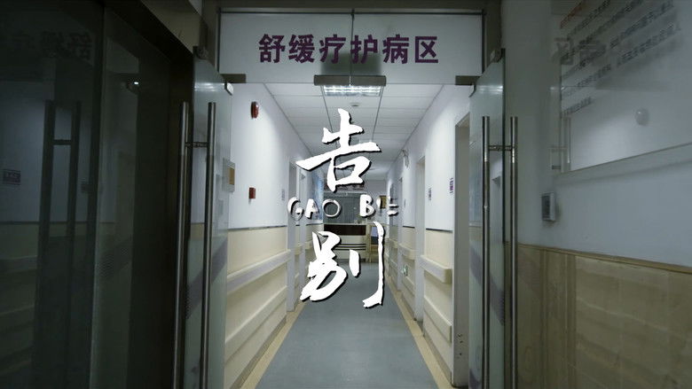 Still image for Life Matters season 1 episode 4: Episode 4