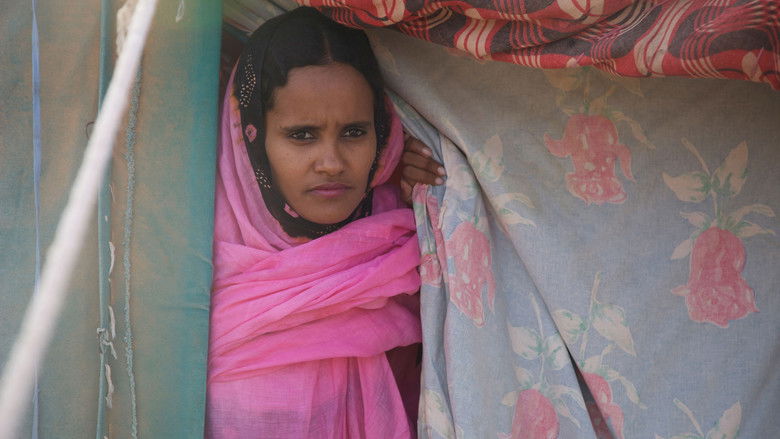 Image d'arrière-plan 7 du film Wilaya