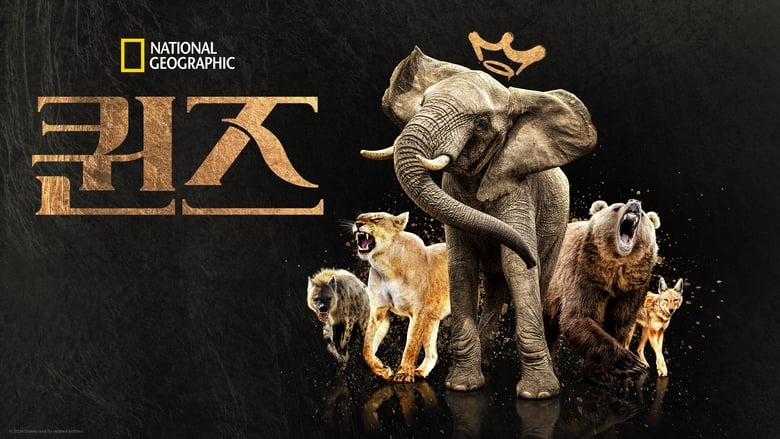 Gallery image from 3nVtacokAYAZZ6bbCbKrqaEOQ6N.jpg