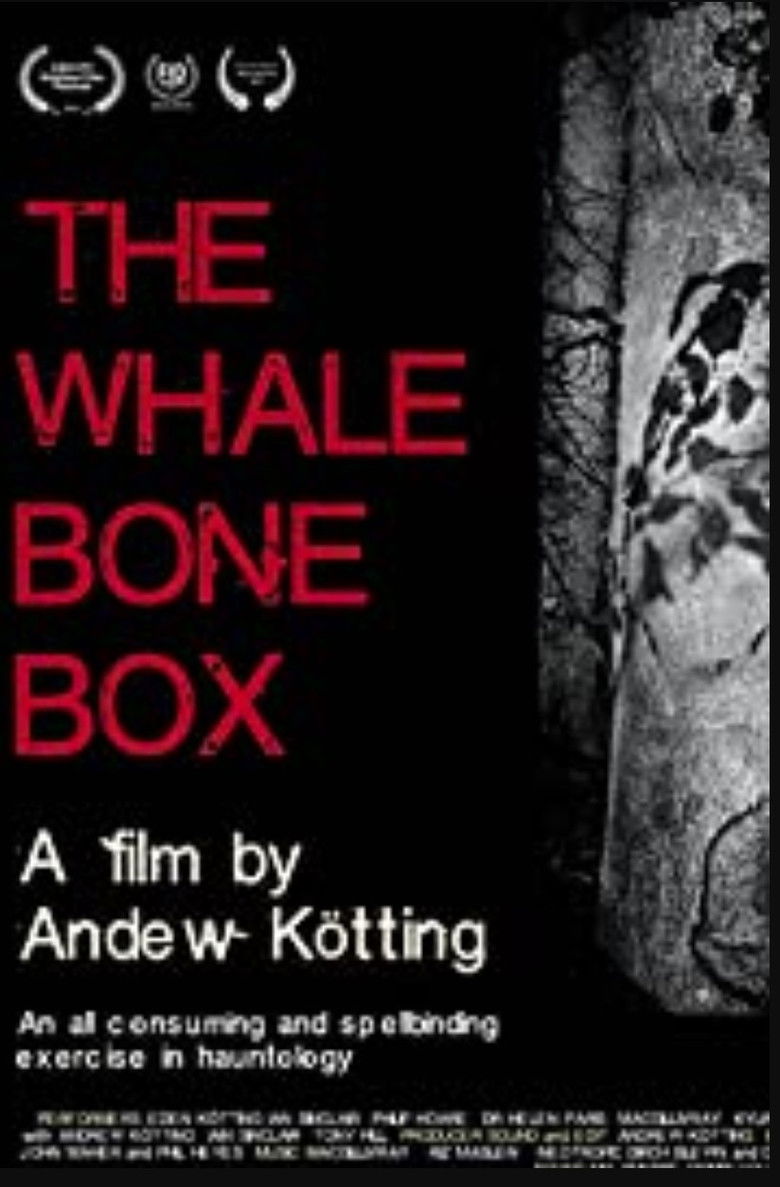 Imatge de The Whalebone Box