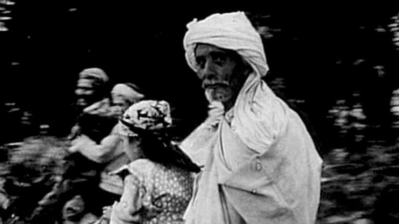 Gallery image from 3niXPrIdocdp5ZYruSXL9NRGMlk.jpg