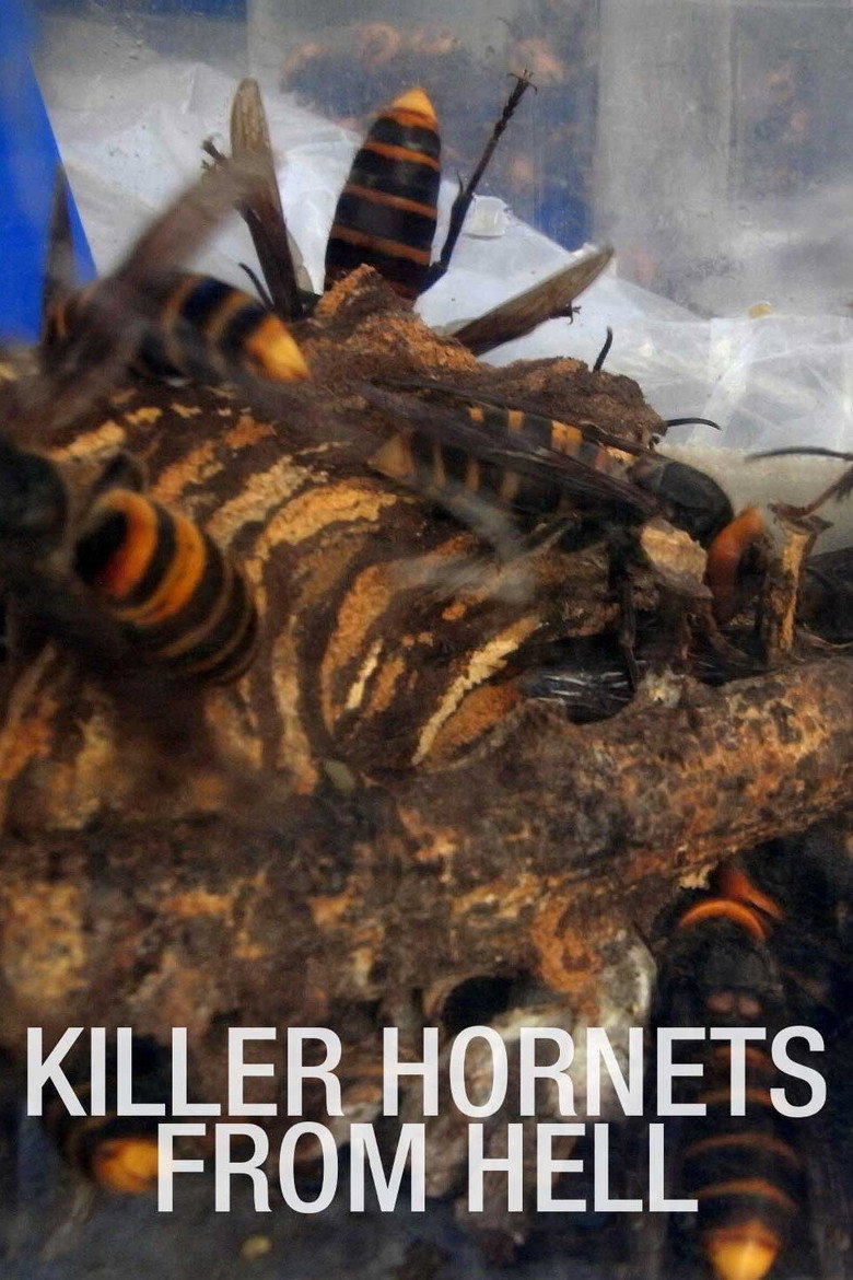 Affiche ou illustration — Killer Hornets from Hell