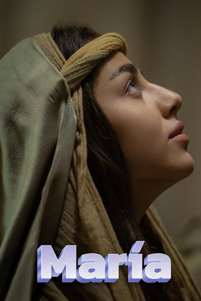 Póster la Película