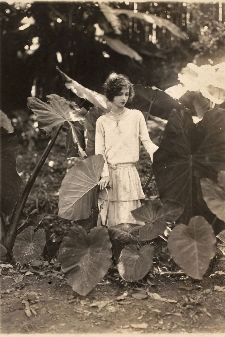 Imatge de Na Primavera da Vida