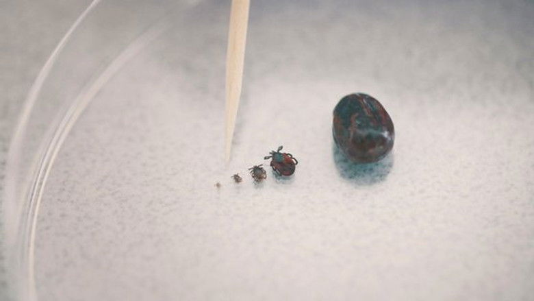 Still image for Pandémie season 1 episode 2: Episode 2