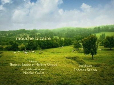 Still image for Minuscule: The Private Life of Insects season 1 episode 71: Some Weird Fly Still image for Minuscule: The Private Life of Insects season 1 episode 71: Some Weird Fly