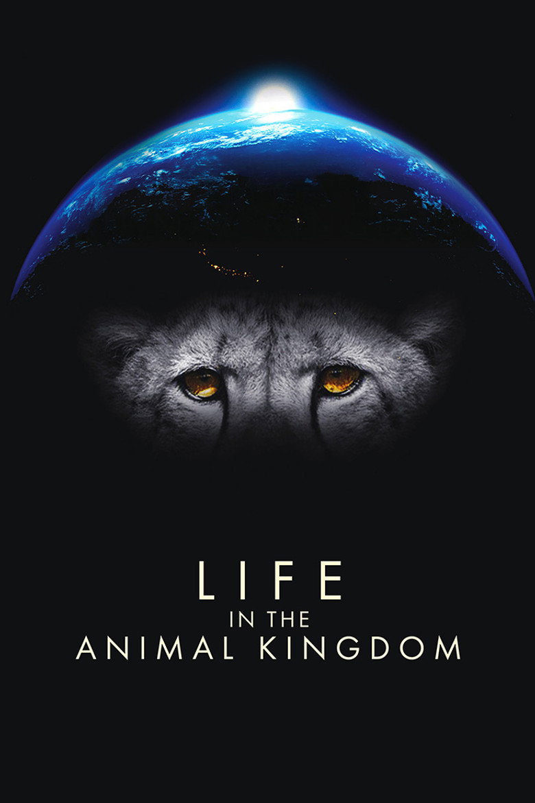 poster image of movie or series