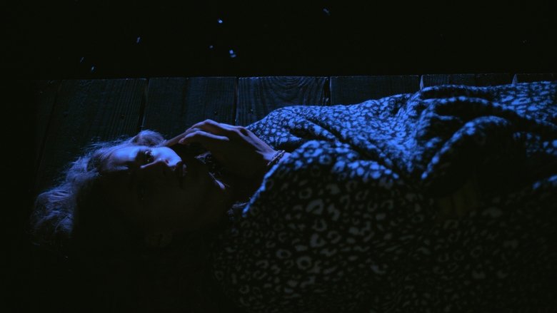 Gallery image from 3q6GEcvty1wWVyfJkEjOLl23I9M.jpg