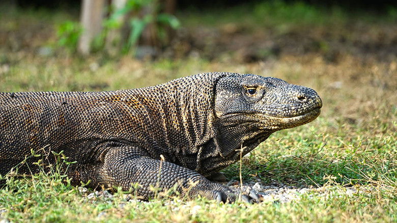 Still image for +/- 5 mètres season 1 episode 1: Episode 1