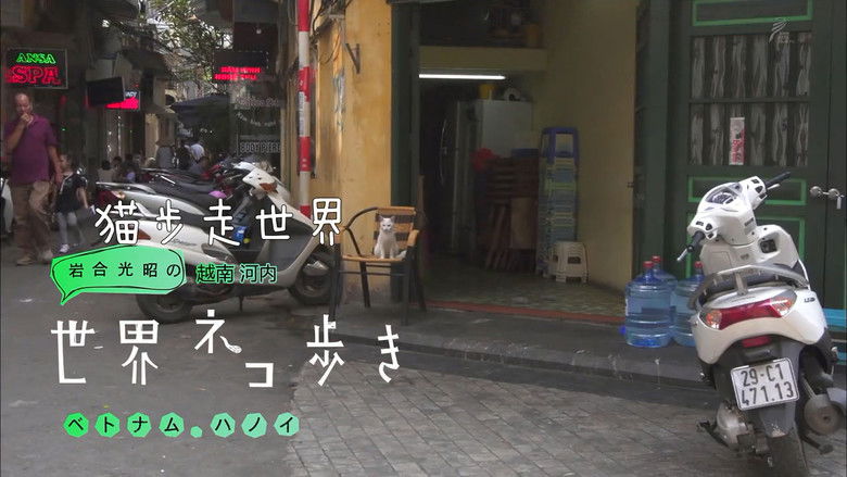 Still image for Mitsuaki Iwago's World “Cats” Travelogue season 1 episode 36: Hanoi, Vietnam Still image for Mitsuaki Iwago's World “Cats” Travelogue season 1 episode 36: Hanoi, Vietnam