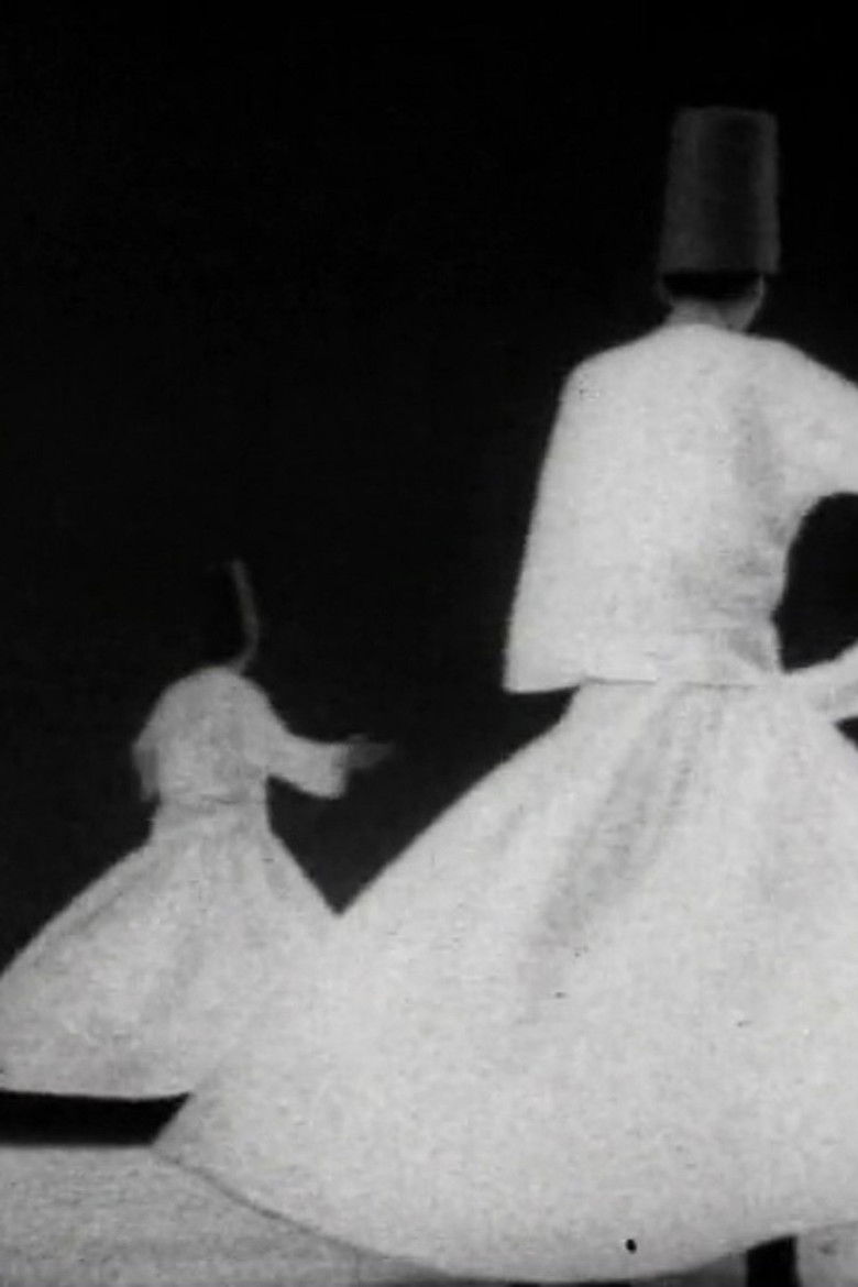 Imatge de Mevlevi - Les Derviches tourneurs