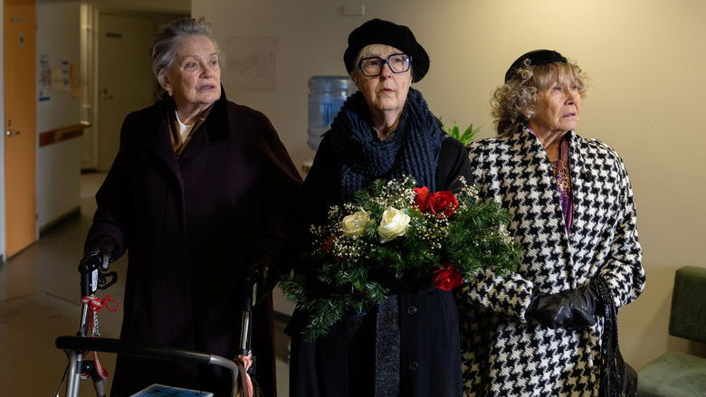 Still image for Sunset Grove season 1 episode 1: Episode 1 Still image for Sunset Grove season 1 episode 1: Episode 1