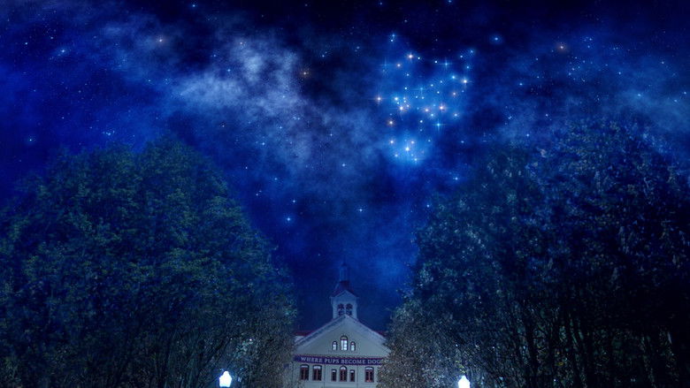 Still image for Pup Academy season 1 episode 13: The Constellation Fades